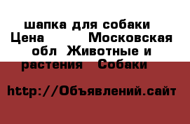 шапка для собаки › Цена ­ 200 - Московская обл. Животные и растения » Собаки   